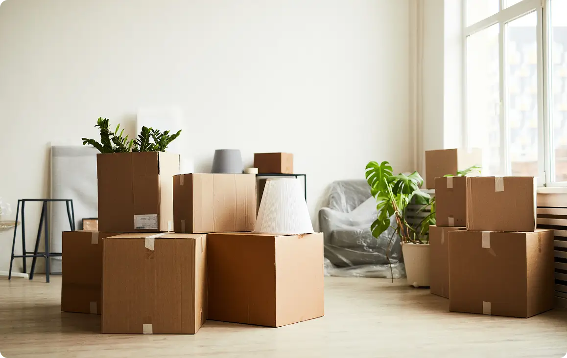 Storage & removals