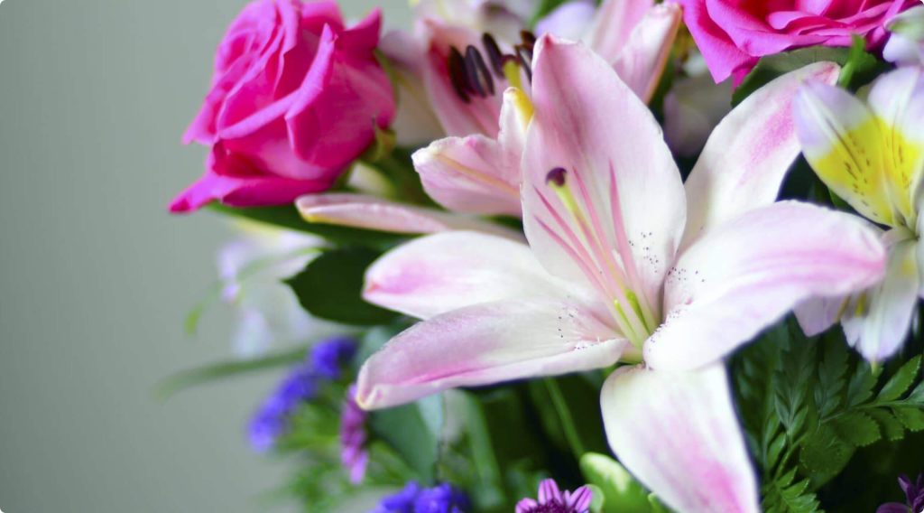 Brett Quinton Funeral Directors
